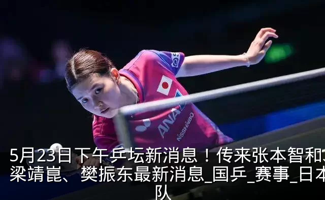 5月23日下午乒坛新消息!传来张本智和、梁靖崑、樊振东最新消息_国乒_赛事_日本队